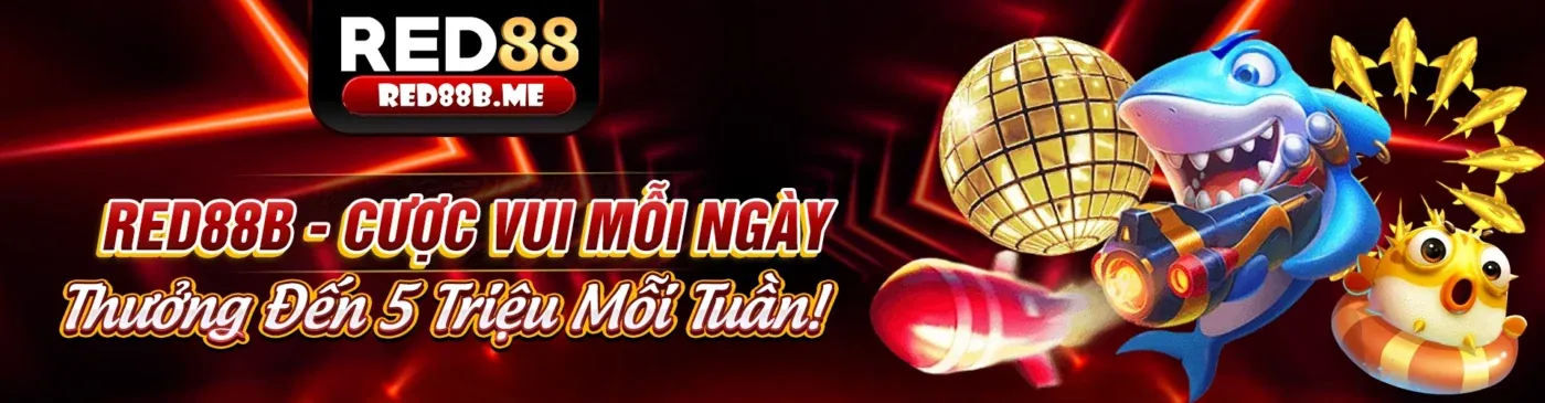 Hình ảnh Chính sách Cookie 88uu đăng nhập